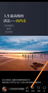 书单号精细化玩法，一个视频带来过千收益-十一网创