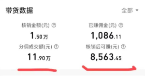 抖音新玩法：本地生活直播团购，小白也能日入200-1000！-十一网创