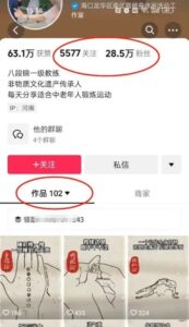 中老年副业项目，流量蓝海项目，视频制作简单，收益高！-十一网创