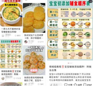 婴儿辅食虚拟资料项目思路，无门槛轻松上手操作-十一网创