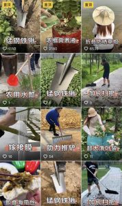 说一个信息差，可能很值钱-十一网创