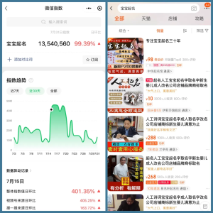 宝宝取名项目：零投入，客单价100+，长期稳定收益！-十一网创