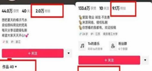 抖音今日话题项目，月涨粉10W日收益达500+-十一网创