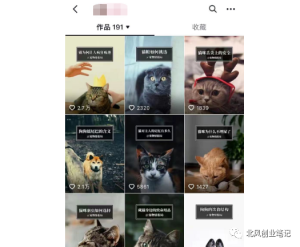 抖音宠物冷知识号：快速涨粉变现，教你如何操作-十一网创