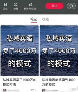 小红书高效引流新玩法，月销50w从矩阵开始！-十一网创