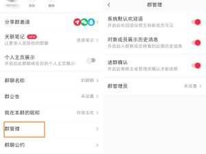 小红薯群禁言副业项目思路，利用信息差零成本月入过万-十一网创