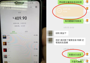 新手也能轻松入门！知识付费项目分享，百度SEO截流引流变现攻略-十一网创