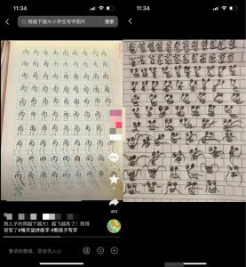 刚需赛道，月入5万！-十一网创