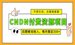 CNDN付费资源项目-十一网创