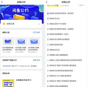 闲鱼图书无货源副业思路，涵货源+选品+发货等，保姆级玩法分享给你-十一网创