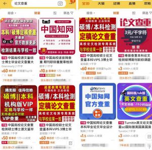 论文查重行业常见的两种玩法,单月利润3w+(淘金之路)-十一网创