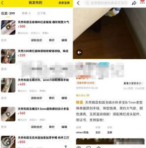 2023年新手作闲鱼无货源如何操作?一周时间突破百万曝光-十一网创