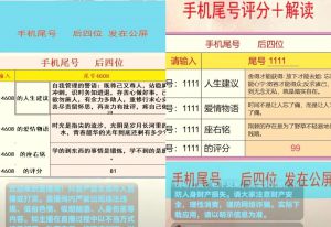 抖音新风口手机尾号项目思路，靠脚本就可以日入300+，玩法无私分享给你-十一网创