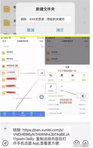 迅雷网盘拉新，短视频变现玩法-十一网创