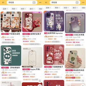 低成本副业卖手机壳项目思路，做的好轻轻松松年入10W，玩法无私分享给你！-十一网创