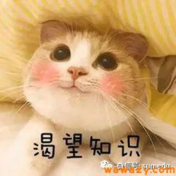 99%的人不知道的财富密码，互联网流量思维，一招被动加粉500+！-十一网创