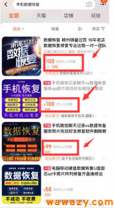聊天数据恢复虚拟服务项目，可长期操作，日赚500+！-十一网创