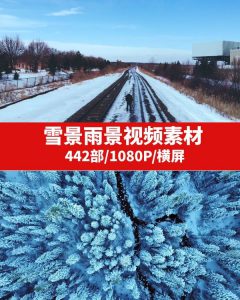 雪景雨景视频素材-十一网创