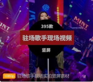 驻场歌手现场实拍竖屏素材-十一网创