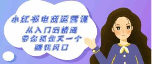 （9053期）2024小红书-电商运营课，从入门到精通，带你抓住又一个赚钱风口（50节课）-十一网创