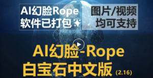 AI换脸免费软件Rope中文汉化白宝石版本全新UI界面，修复部分已知错误【附下载地址与详细使用教程】-十一网创