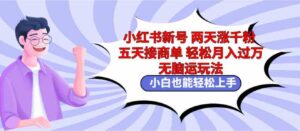 （9239期）小红书新号两天涨千粉五天接商单轻松月入过万无脑搬运玩法小白也能轻…-十一网创