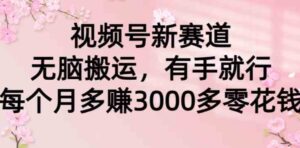 （9278期）视频号新赛道，无脑搬运，有手就行，每个月多赚3000多零花钱-十一网创
