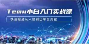 （9295期）Temu小白入门实战课：跨境拼多多电商培训快速跑通从入驻到出单全流程-12节-十一网创