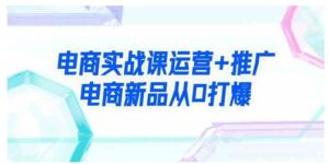 （9313期）电商实战课运营+推广，电商新品从0打爆（99节视频课）-十一网创