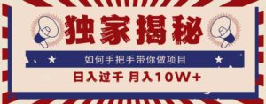 （9362期）独家揭秘，如何手把手带你做项目，日入上千，月入10W+-十一网创
