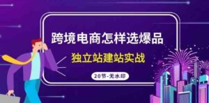 （9369期）跨境电商怎样选爆品，独立站建站实战（20节高清无水印课）-十一网创