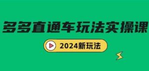 （9412期）多多直通车玩法实战课，2024新玩法（7节课）-十一网创