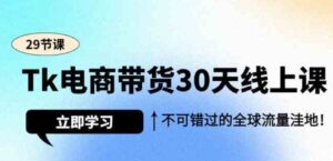 （9463期）Tk电商带货30天线上课，不可错过的全球流量洼地（29节课）-十一网创