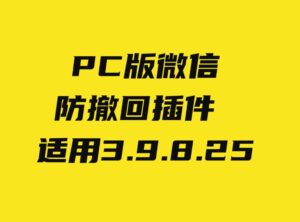 PC微信防撤回插件适用3.9.8.25-十一网创