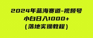 （9515期）2024年蓝海赛道视频号小白日入1000+落地实操教程-十一网创