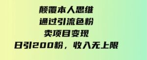（9523期）颠覆本人思维，通过引流色粉，卖项目变现，日引200粉，收入无上限-十一网创