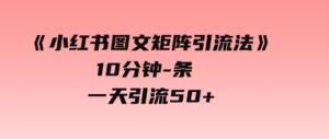 （9538期）《小红书图文矩阵引流法》10分钟-条，一天引流50+-十一网创