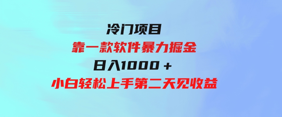 （9791期）冷门项目，靠一款软件暴力掘金日入1000＋，小白轻松上手第二天见收益-十一网创