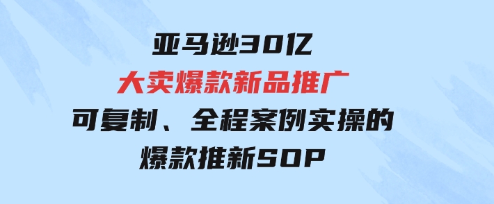亚马逊30亿·大卖爆款新品推广，可复制、全程案例实操的爆款推新SOP-十一网创