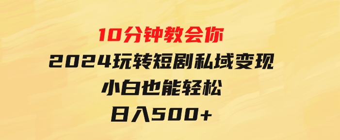 10分钟教会你2024玩转短剧私域变现，小白也能轻松日入500+-十一网创