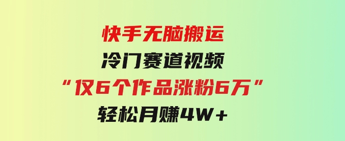 快手无脑搬运冷门赛道视频“仅6个作品涨粉6万”轻松月赚4W+-十一网创