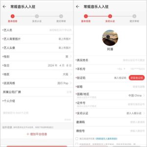 网易云音乐搬砖玩法，躺赚收益，还能白嫖年VIP-十一网创
