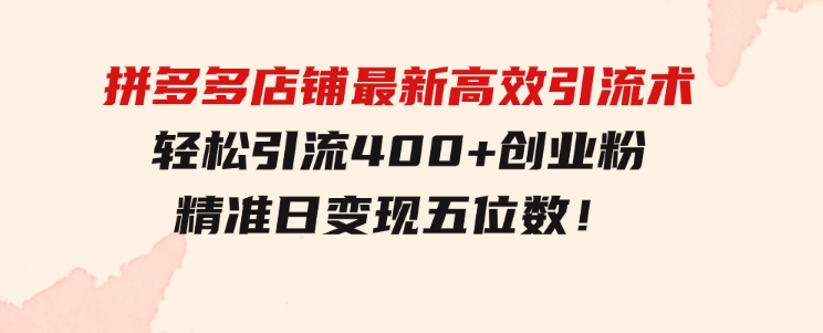 拼多多店铺最新高效引流术，轻松引流400+创业粉，精准日变现五位数！-十一网创