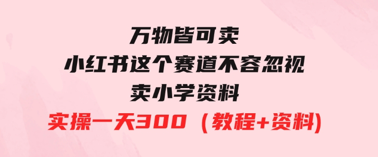 万物皆可卖，小红书这个赛道不容忽视，卖小学资料实操一天300（教程+资料)-十一网创