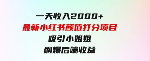 一天收入2000+，最新小红书颜值打分项目，吸引小姐姐，刷爆后端收益-十一网创