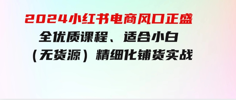 2024小红书电商风口正盛，全优质课程、适合小白（无货源）精细化铺货实战-十一网创
