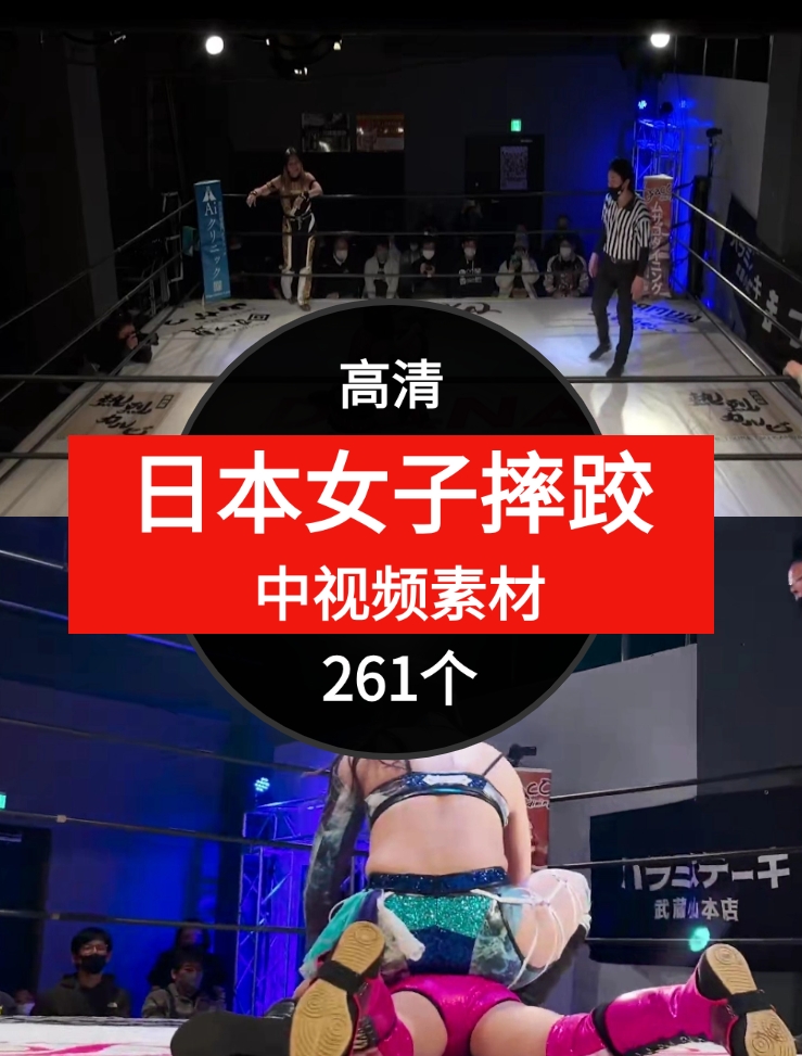 日本女子摔跤视频中视频素材-十一网创