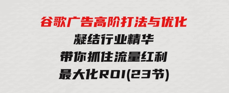 谷歌广告高阶打法与优化，凝结行业精华/带你抓住流量红利/最大化ROI(23节)-十一网创