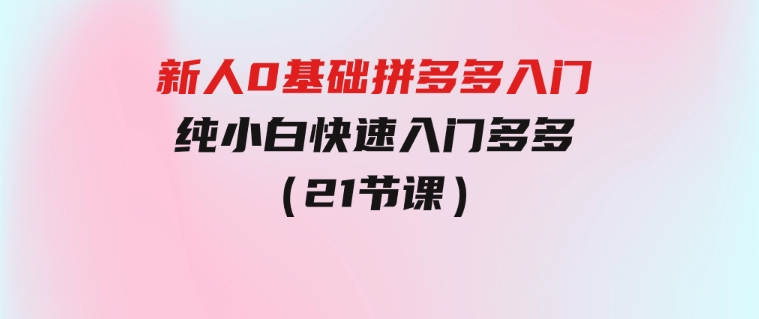 新人0基础拼多多入门，​纯小白快速入门多多（21节课）-十一网创