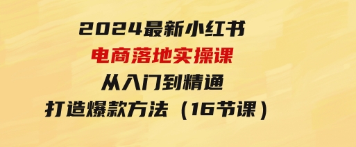 2024最新小红书电商落地实操课，从入门到精通，打造爆款方法（16节课）-十一网创